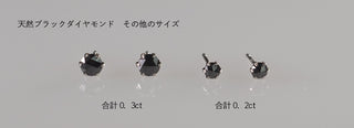 ピアス ブラックダイヤモンド プラチナ 0.3カラット